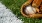 a baseball glove and a baseball